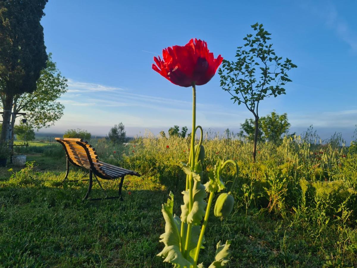 La Ferme Constantin Villa Файенс Екстериор снимка