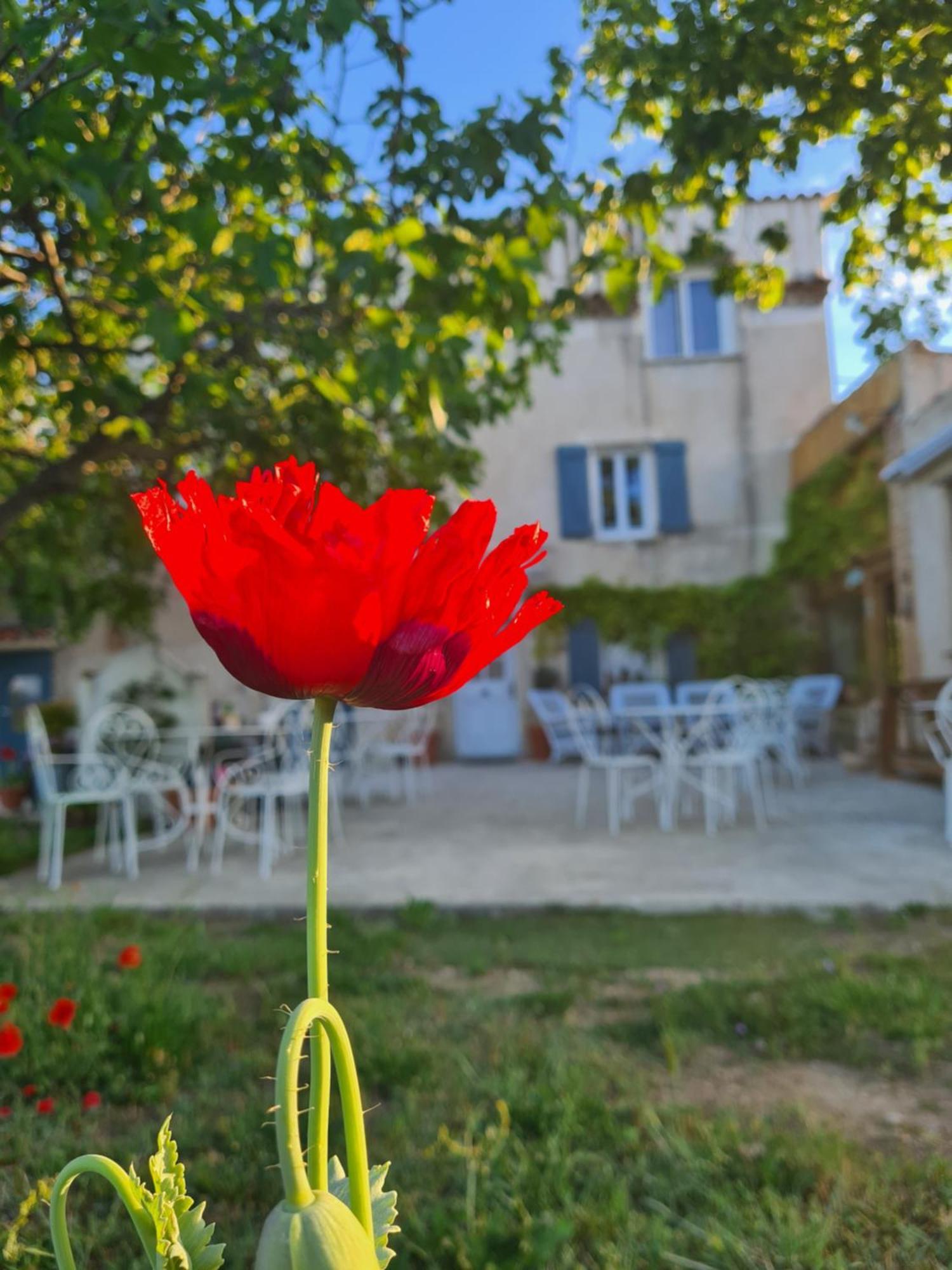 La Ferme Constantin Villa Файенс Стая снимка