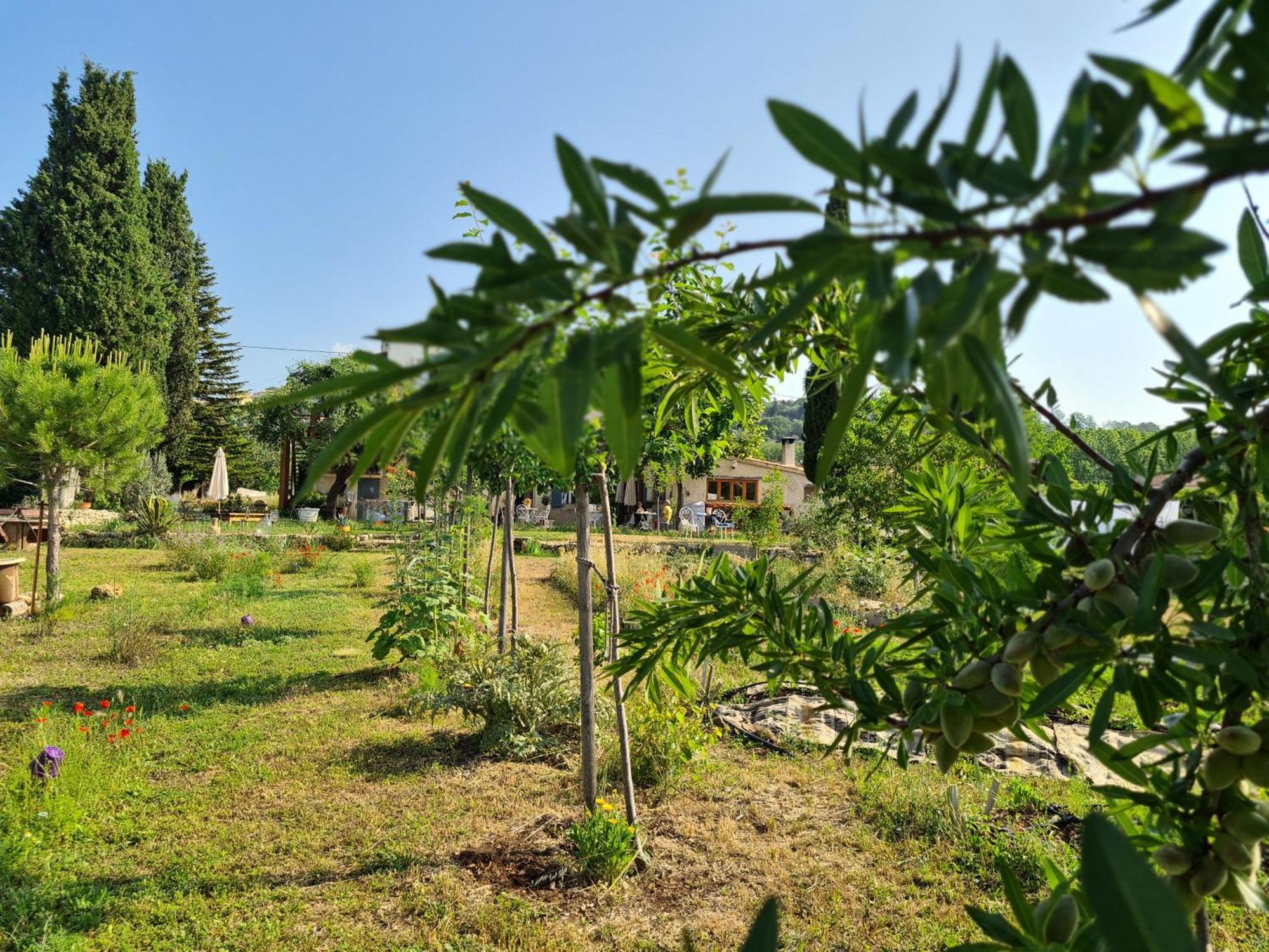 La Ferme Constantin Villa Файенс Екстериор снимка