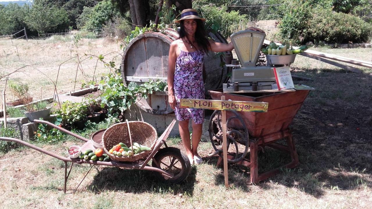 La Ferme Constantin Villa Файенс Екстериор снимка